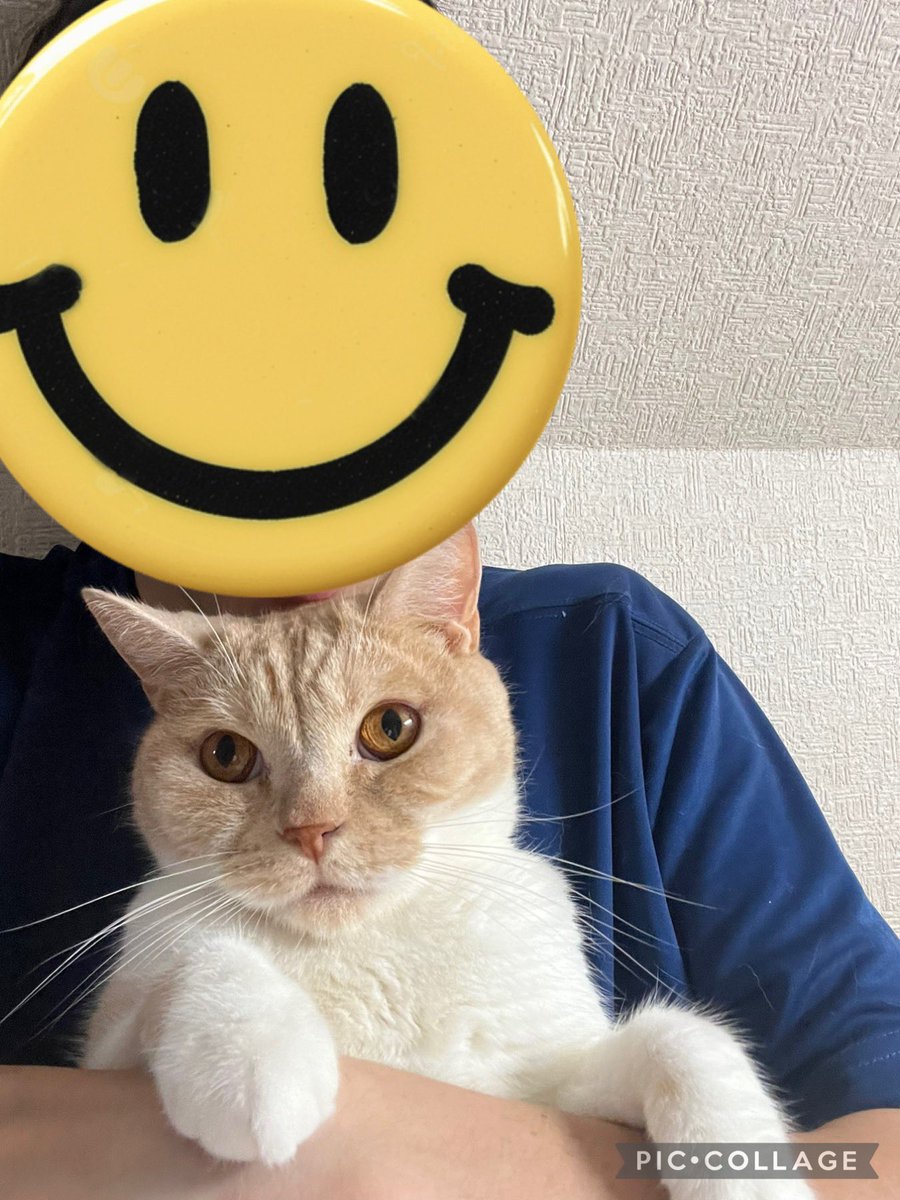 マロンの爪切りスタイルです笑多少嫌がりますけど、まぁ大人しく切らせ