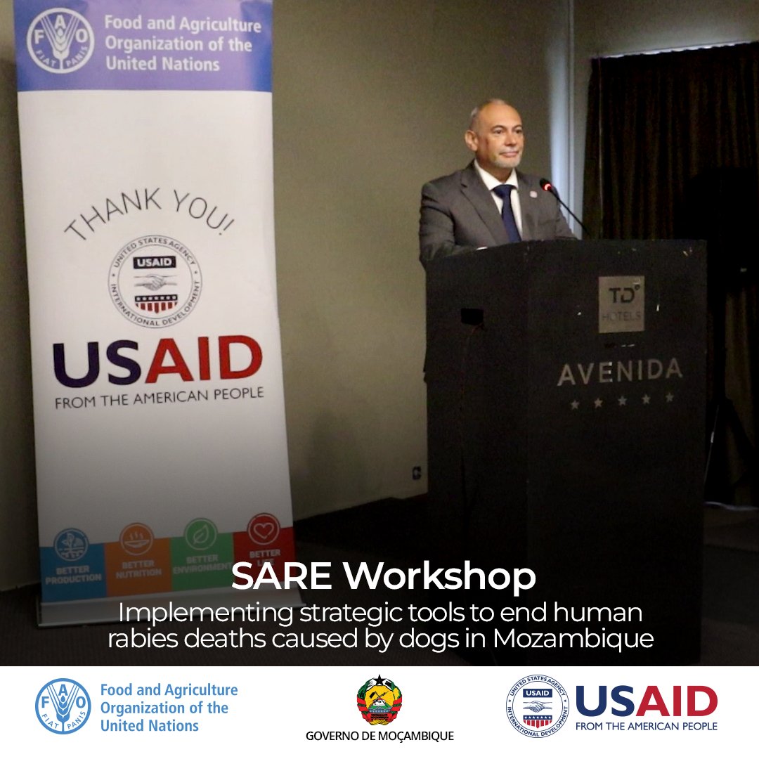Today we kick off the SARE workshop to support elimination of human deaths from dog rabies in Mozambique! Together, <a href="/FAO/">Food and Agriculture Organization</a>, <a href="/USAIDMozambique/">USAID Mozambique</a>, and partners strengthen strategies to save human and animal lives.
#RabiesElimination #OneHealth #ZeroRabies2030 #FAOemergencies #ECTAD #CDC
