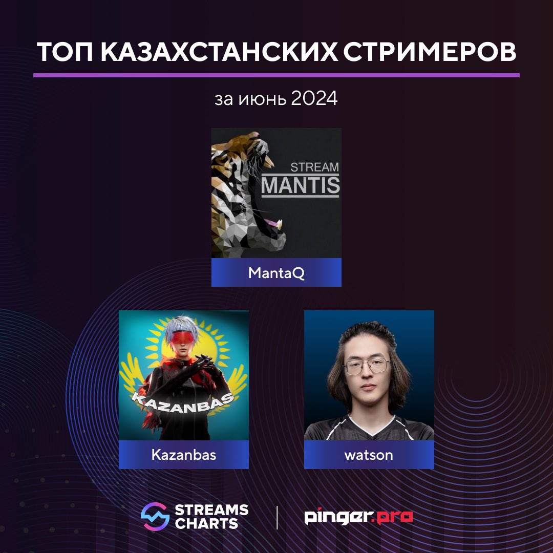 PingerPro tweet media