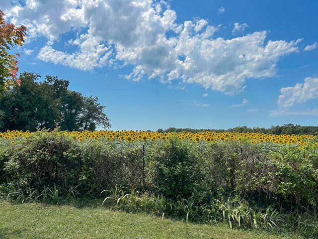 French Property News tweet media