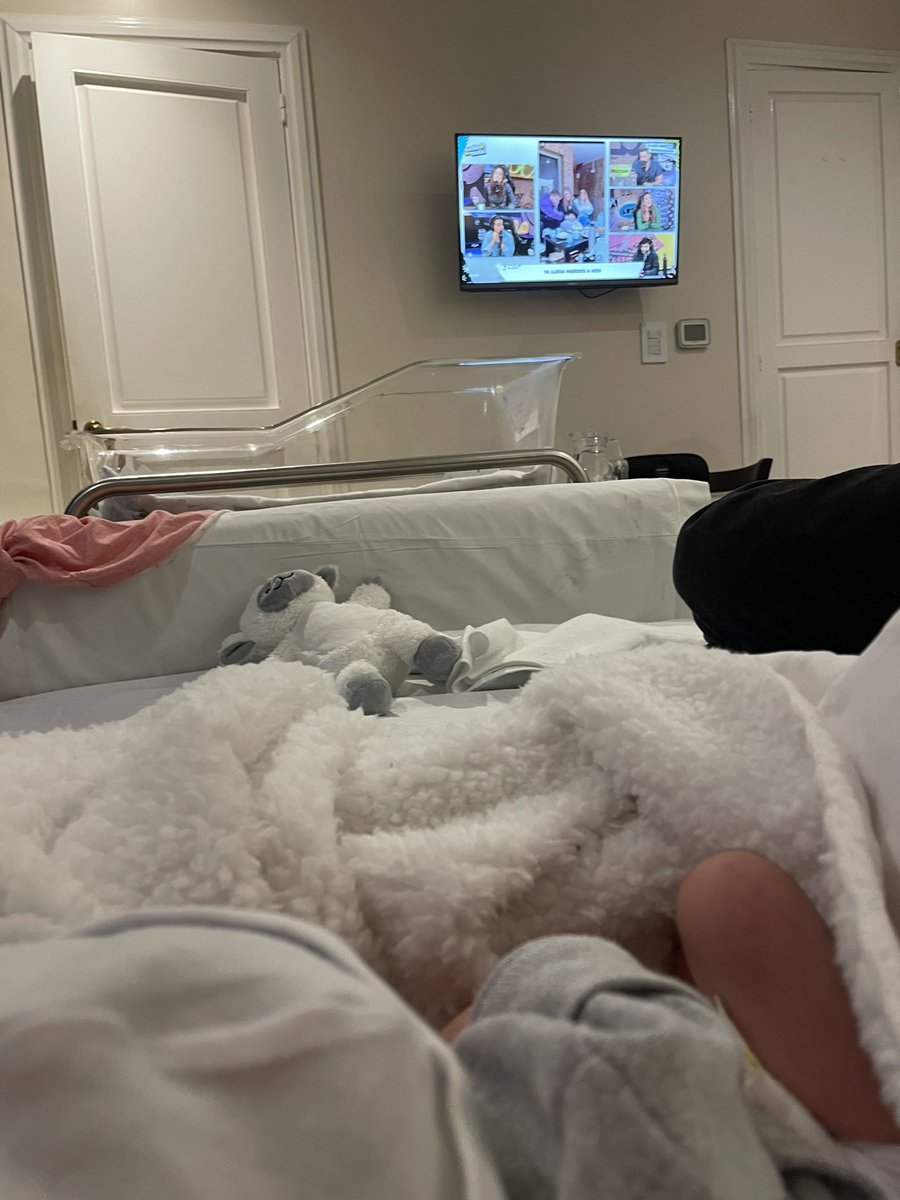 Primera vez viendo ndn para chanchi 🐣 #nadiedicenada