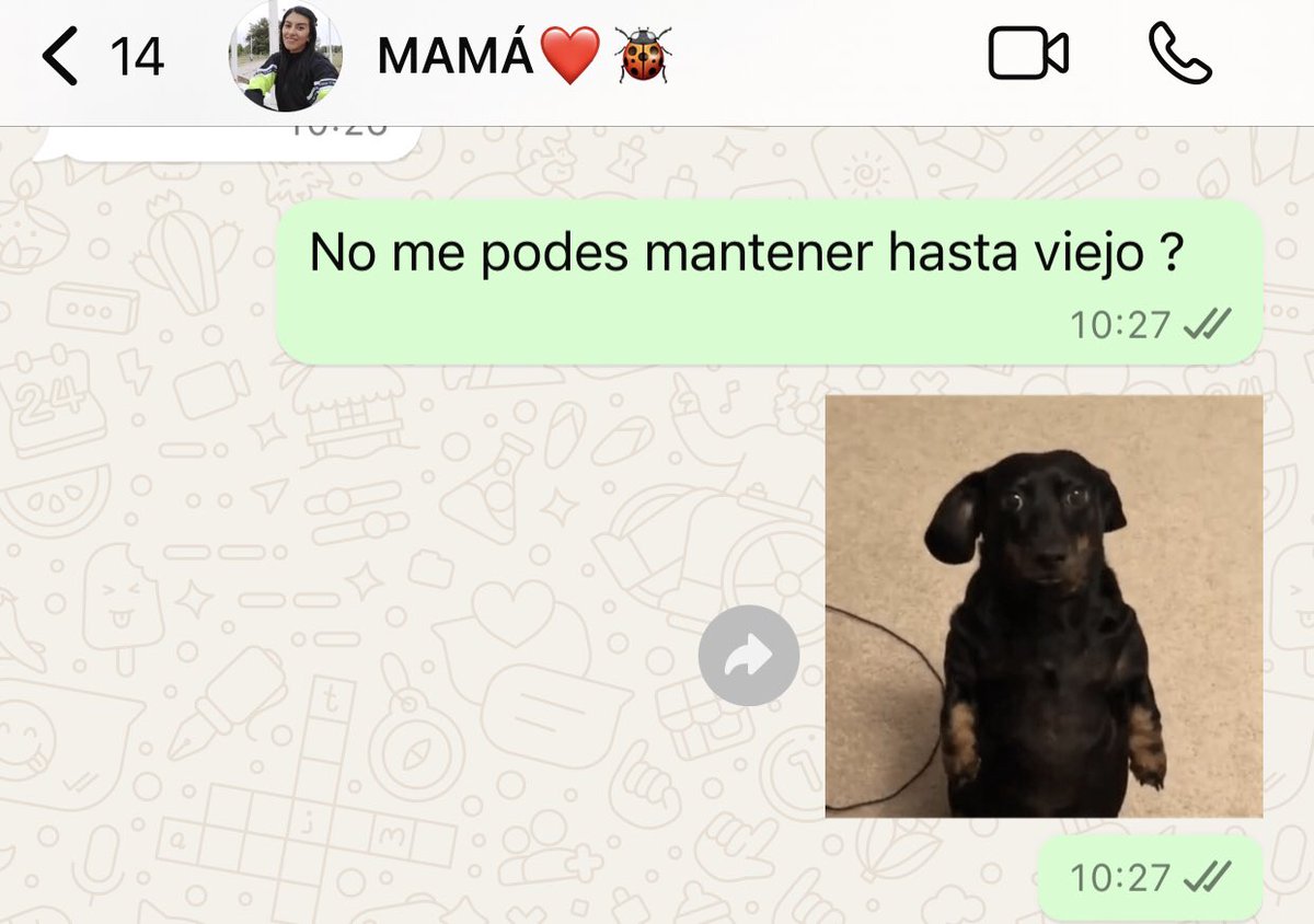 Yo cuando no quiero estudiar