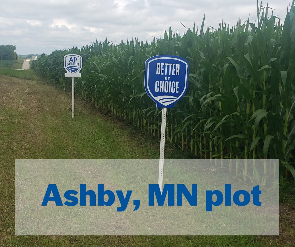 _apselect's tweet image. 𝐈𝐭'𝐬 𝐬𝐢𝐠𝐧 𝐭𝐢𝐦𝐞!!

Signs are going up all over the countryside and we are loving them!  This is a plot near Ashby, MN and we think the blue looks very nice with all the green in the background!

𝘢𝘱𝘴𝘦𝘭𝘦𝘤𝘵.𝘤𝘰𝘮