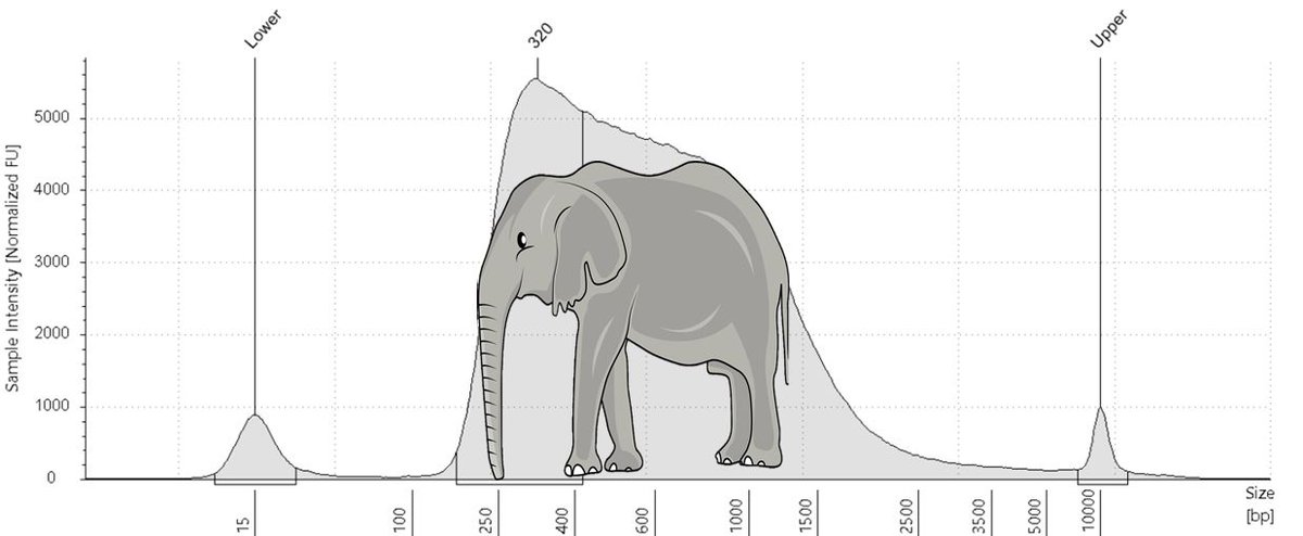 Thinking outside the box, but also, under the curve :) <a href="/santilli_flavio/">Flavio Santilli</a> <a href="/EMBLRome/">EMBL Rome</a>
