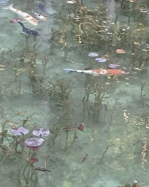 999BERRIES's tweet image. Je suis curieuse. Écrivez votre prénom + aesthetic core sur la barre de recherche de Pinterest et prenez les 4 premières photos. Voilà pour moi.