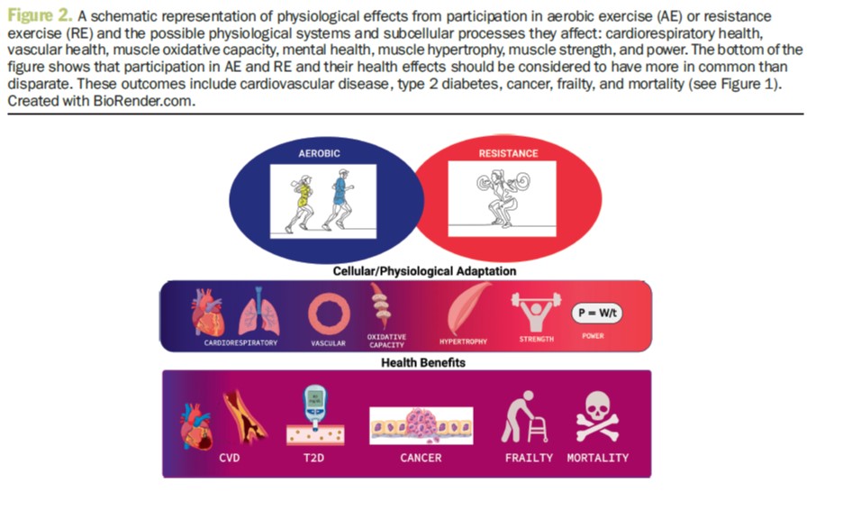 EricRawsonPhD's tweet image. The Coming of Age of Resistance Exercise as a Primary Form of Exercise for Health
journals.lww.com/acsm-healthfit…
#OpenAccess