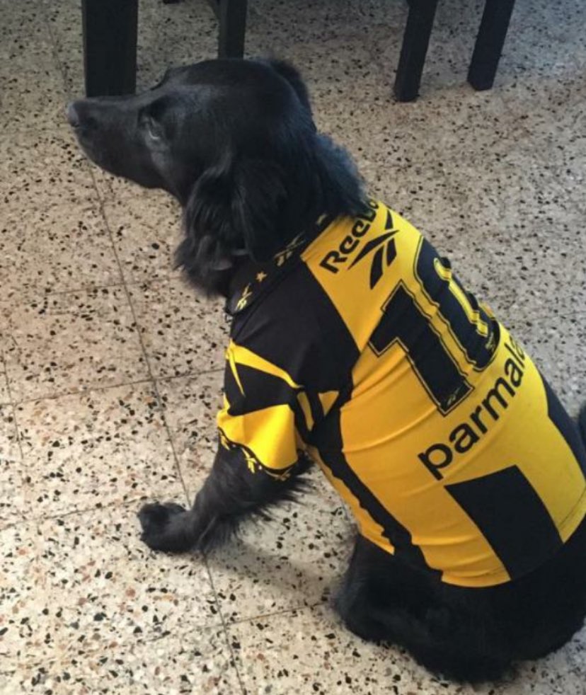 semana clasica, soy este