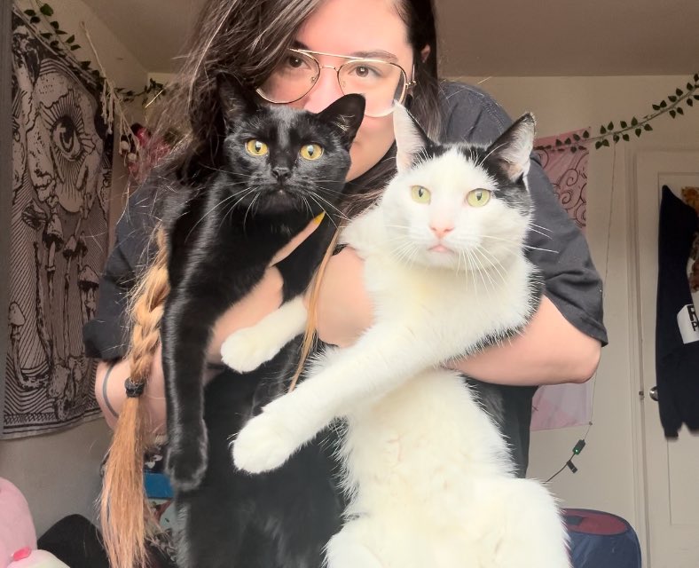 vormhat's tweet image. we just woke up