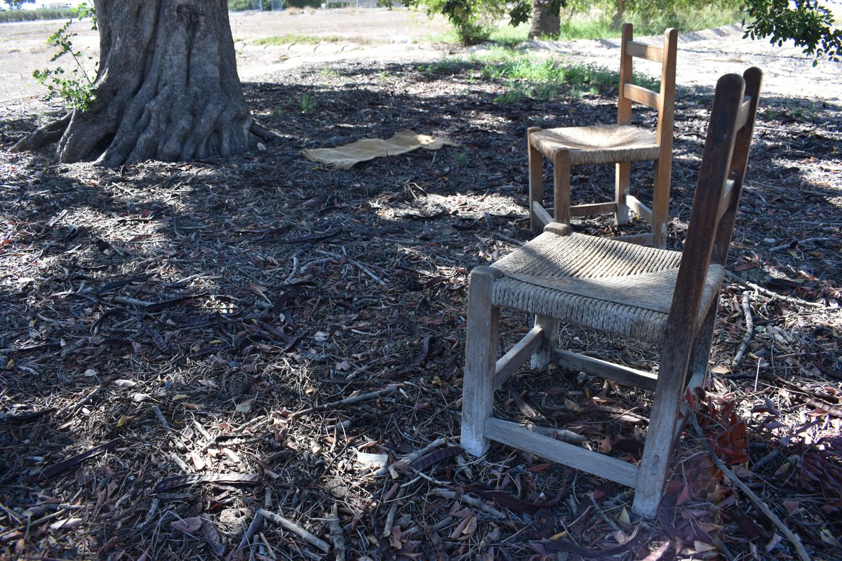 Les vesprades de calina els iaios les passaven xarrant baix del garrofer. En les seues converses quasi totes les frases tenien diminutius. Molet, bombeta, llepaïues, atxirlaet, beset...

"per baix del garrofer corre un ventussiu"