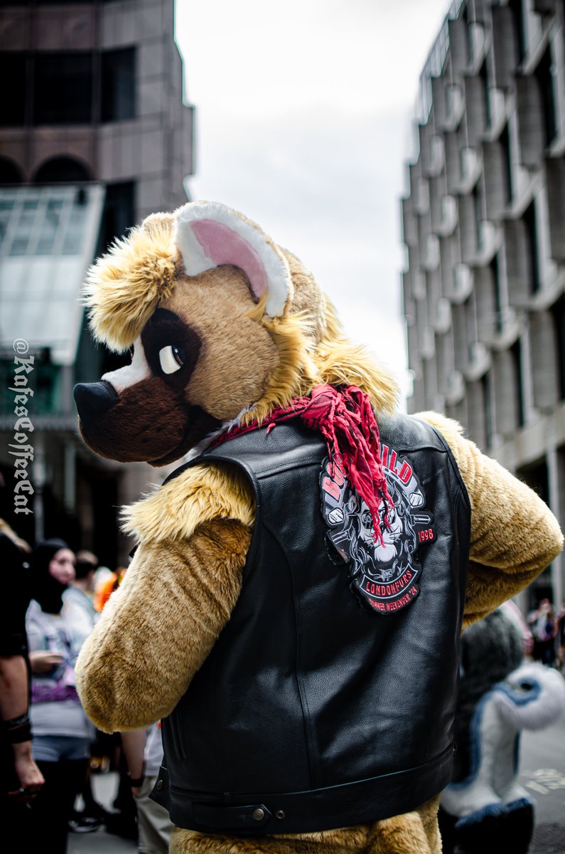 LondonFurs (@londonfurs) on Twitter photo Our next LondonFurs meet will be on Sat 10th August at the <a href="/tankandpaddle/">TankandPaddle</a>
Send us your awesome pictures from our Summer Party and we'll put them on our big screens
๐ Don't forget to tag the photographer if you didn't take it
๐ท <a href="/KafesCoffeeCat/">๐ฃ ๐๐๐ถ๐ฅ๐ข๐ช ๐ฃ</a> Our next LondonFurs meet will be on Sat 10th August at the <a href="/tankandpaddle/">TankandPaddle</a>
Send us your awesome pictures from our Summer Party and we'll put them on our big screens
๐ Don't forget to tag the photographer if you didn't take it
๐ท <a href="/KafesCoffeeCat/">๐ฃ ๐๐๐ถ๐ฅ๐ข๐ช ๐ฃ</a>