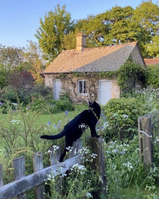 MCCrawled's tweet image. 🌻Снс-ау дачно-отдыхательная🌻
! шутки приколы и дурацкое взаимодействие всех со всеми ради психологического исцеления !
#сероволк #пчелодубогром #позалис #золотаячешуя #томалеры