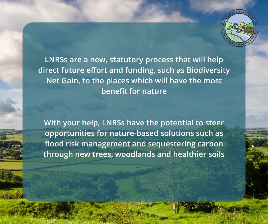 GLincsLNRS tweet media