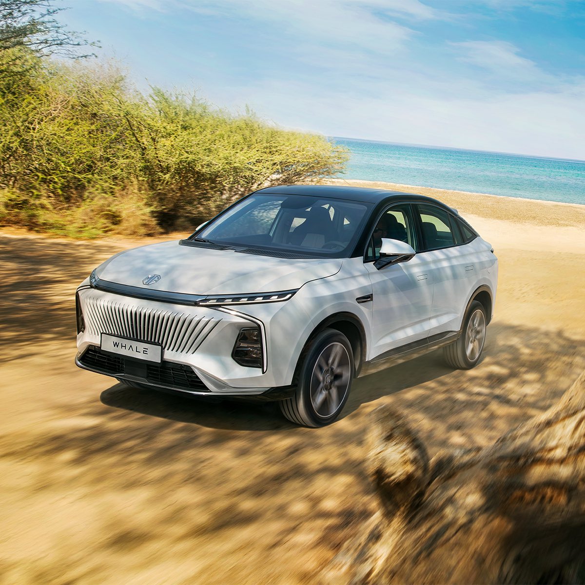 MGMiddleEast's tweet image. Bold elegance and unmatched performance of the #MGWhale! Its stunning exterior design and cutting-edge technology promise a smooth, powerful ride every time. 

جرأة الأناقة وأداء لا مثيل لهما مع 
#MGWhale! ​
التصميم الخارجي الرائع والتكنولوجيا المتقدمة يضمنان لك قيادة سلسة وقوية