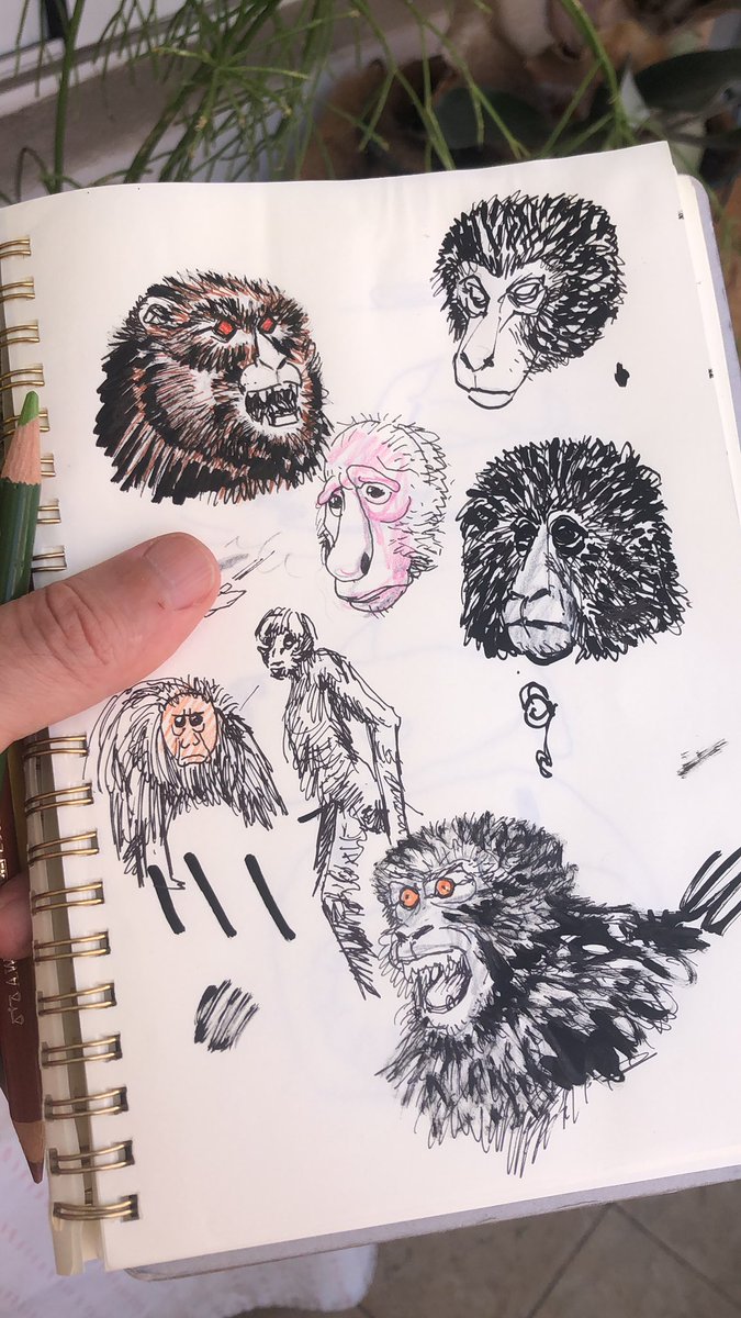 Monkey waiting page