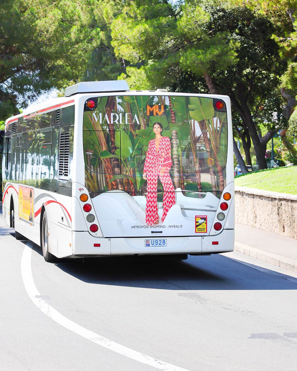 Caroli Com tweet media