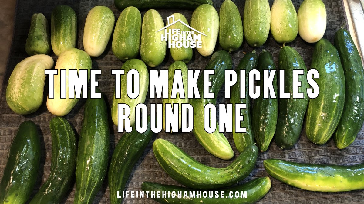 TheHighamFamily's tweet image. On the Blog...
Time to make pickles - Round 1 - We&apos;ve picked over 20 cucumbers and pickles from our garden. Now it&apos;s time to make some pickles. Round one of our pickle making process. Let&apos;s go!
lifeinthehighamhouse.com/the-blog/time-…

#lifeinthehighamhouse #familyblog