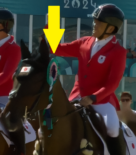 kaneoto8694's tweet photo. 馬術の表彰式の好きなところはお馬さんもメダルがもらえるところ https://t.co/WY9kCxAwvJ