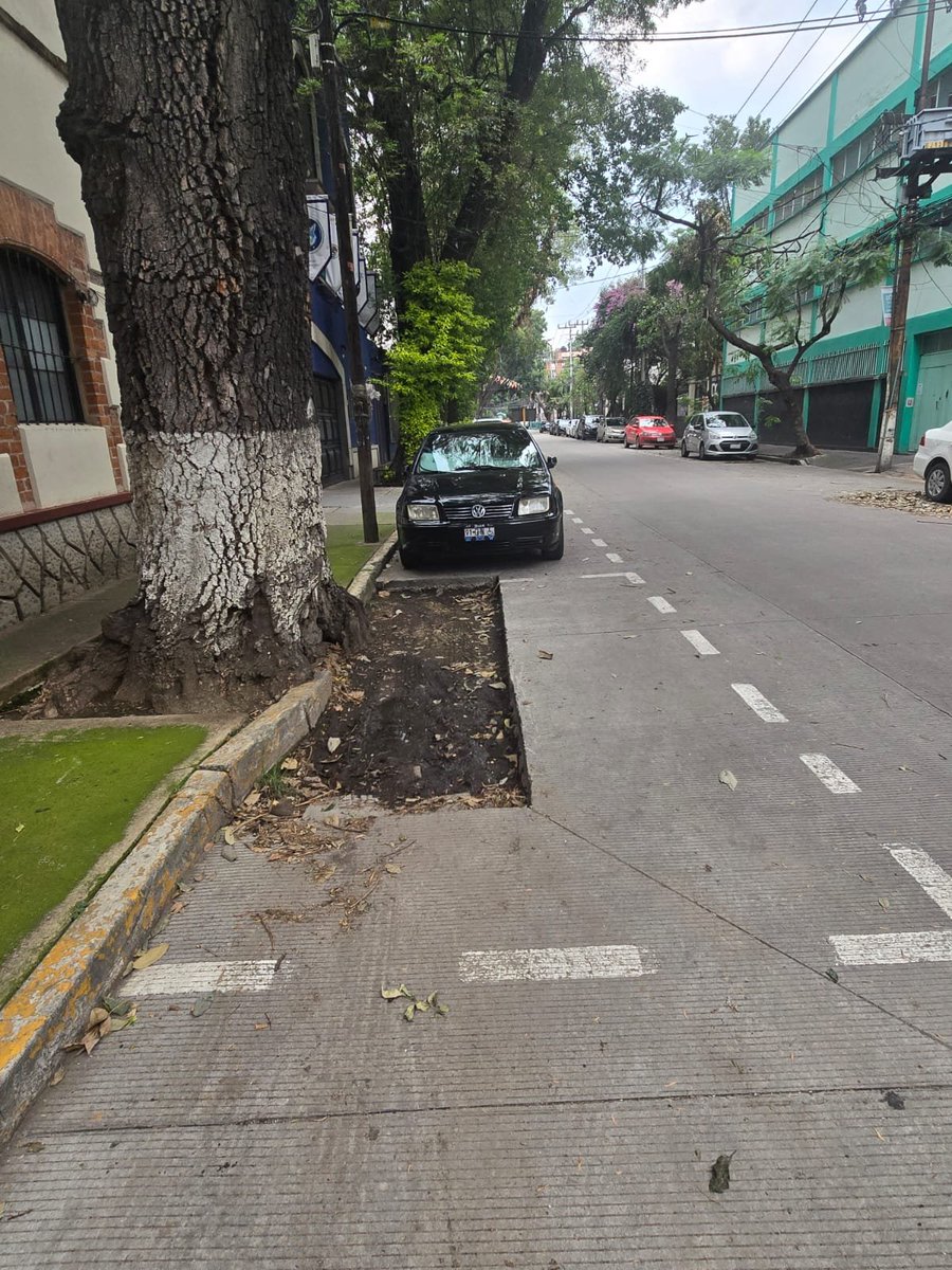 Andrés Guzmán #Anguz (@andresguzbj) on Twitter photo Buenas noticias!
<a href="/ecoParq/">ecoParq</a> ya cancelo 3 de los 4 cajones de estacionamiento que tenía sobre los cajetes de los árboles, esperamos que esta semana cancele el 4 cajon.
<a href="/AccionesBJ/">Acciones BJ</a> <a href="/BJAlcaldia/">Alcaldía de Benito Juárez</a> nos puedes apoyar aflojando la tierra que quedó muy compactada e impide la filtración del Buenas noticias!
<a href="/ecoParq/">ecoParq</a> ya cancelo 3 de los 4 cajones de estacionamiento que tenía sobre los cajetes de los árboles, esperamos que esta semana cancele el 4 cajon.
<a href="/AccionesBJ/">Acciones BJ</a> <a href="/BJAlcaldia/">Alcaldía de Benito Juárez</a> nos puedes apoyar aflojando la tierra que quedó muy compactada e impide la filtración del
