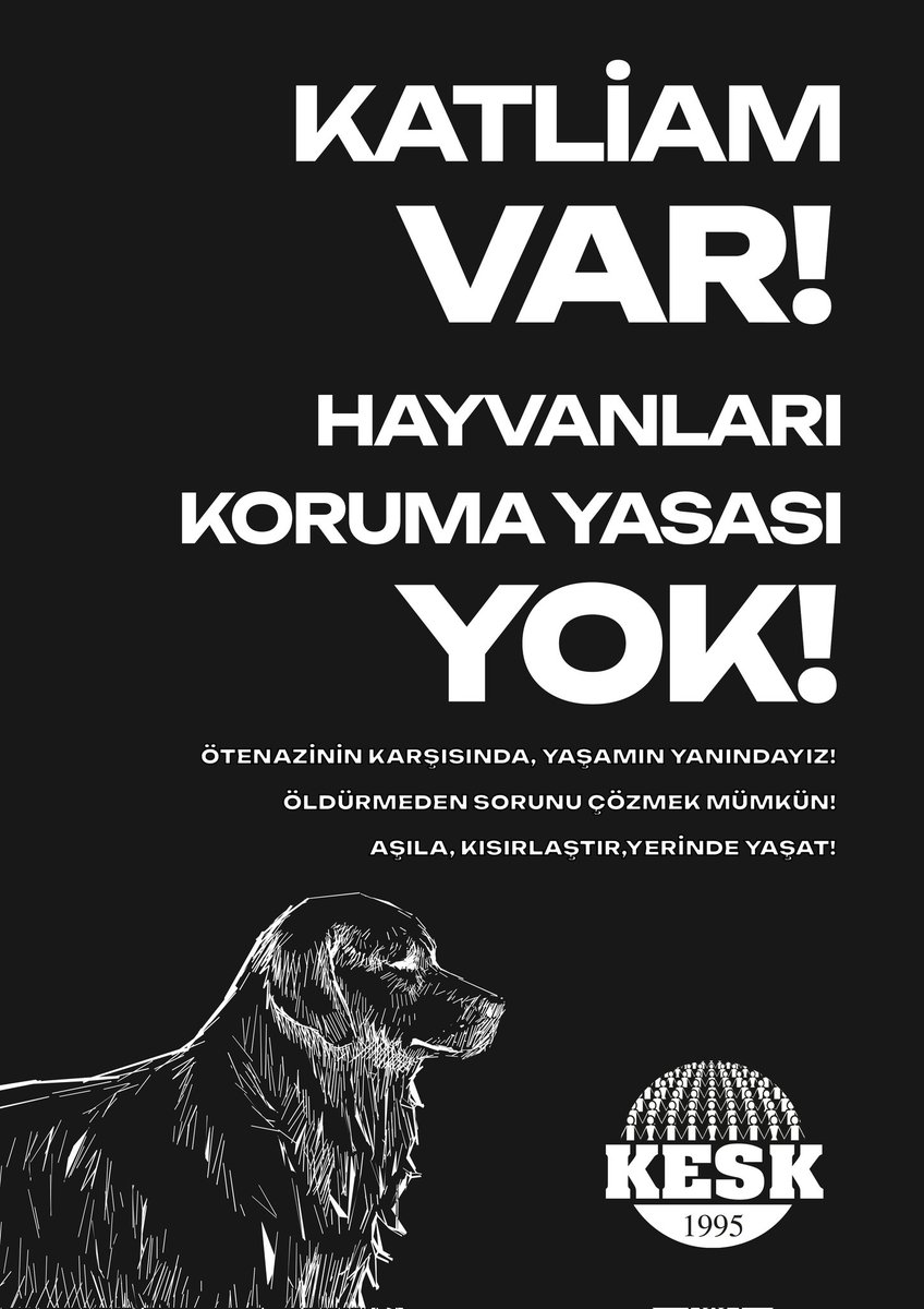 Katliam var ! 
Hayvanları Koruma Yasası YOK!
Ötenazinin karşısında, yaşamın yanındayız!
#YasayıGeriÇekKatliyamaHayır 
#YasayiCek 
#YasaDeğilKatliam