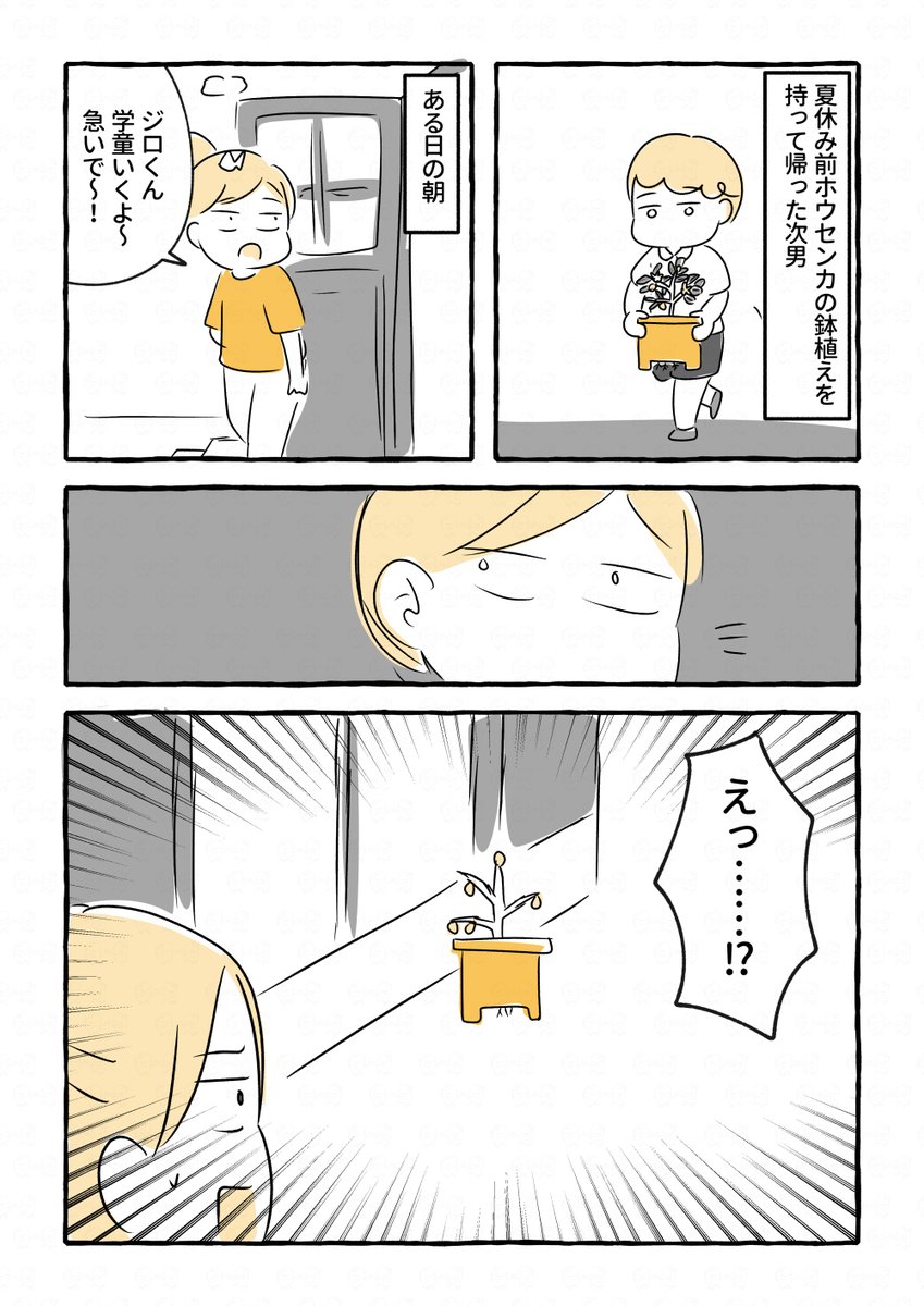 ホウセンカ事件11/2

#エッセイ漫画 