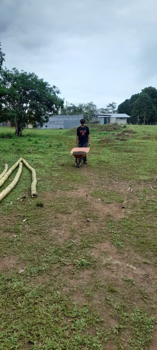 TDSAlbatross's tweet photo. First day of project work. Making a pathway through the forest. https://t.co/HpYm7zV4vu