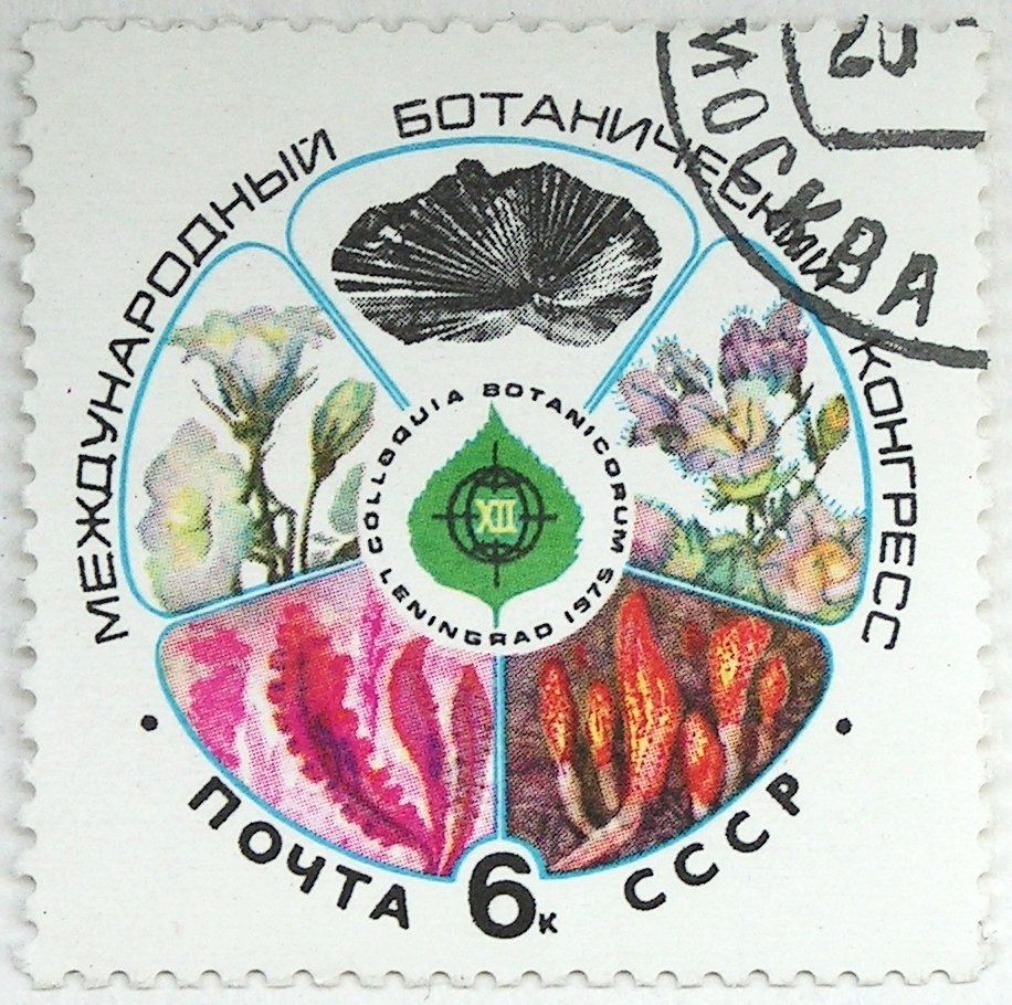 dianecourtin's tweet photo. Stamps from the International Botanical Congresses held in Edinburgh (1964), Seattle (1969), Leningrad (1975) and Tokyo (1993). Wish new ones had been issued for the #IBC2024 in Madrid! An idea for the #IBC2029 in Cape Town? https://t.co/kebXRcocqm