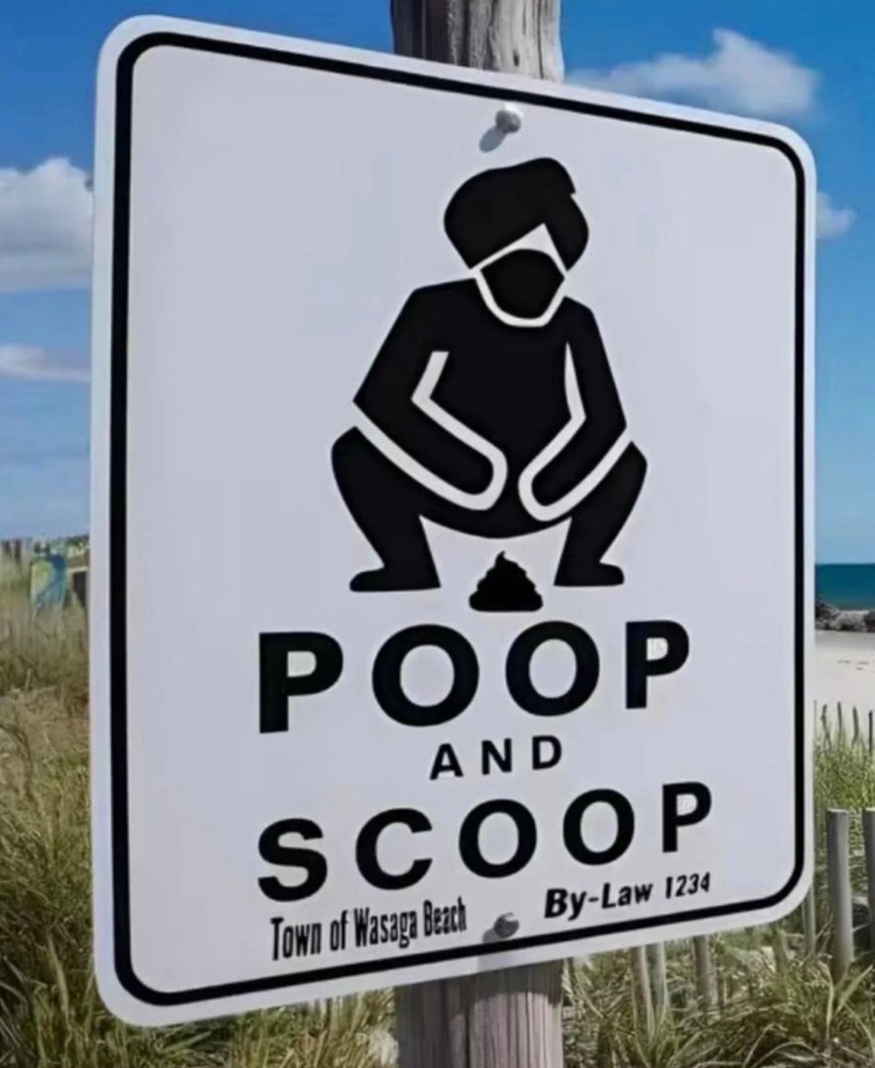 BertaProudDad's tweet image. 🏖️💩 What's the deal with all the poop on Wasaga Beach? Is it a cultural thing or just plain bad manners? Let's uncover this sandy mystery! #BeachDrama #PoopGate #WasagaBeachMisadventures 
#WasagaBeach
#News