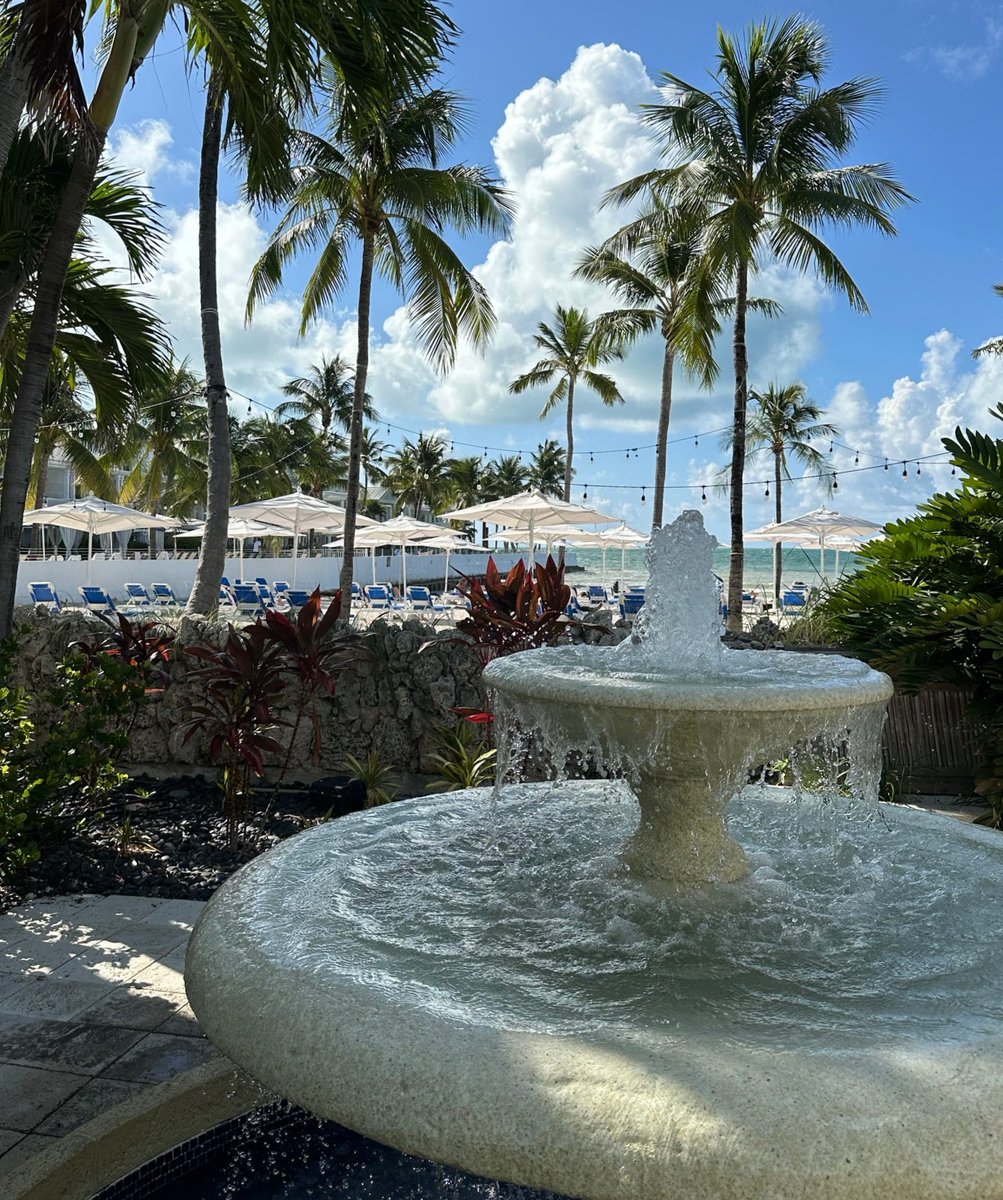 Beautiful doesn't even begin to describe it. We are so in love with the grounds at our resort and we know you will be too! 💛 Come and stay with us to experience it for yourself, bit.ly/2IzXTAj