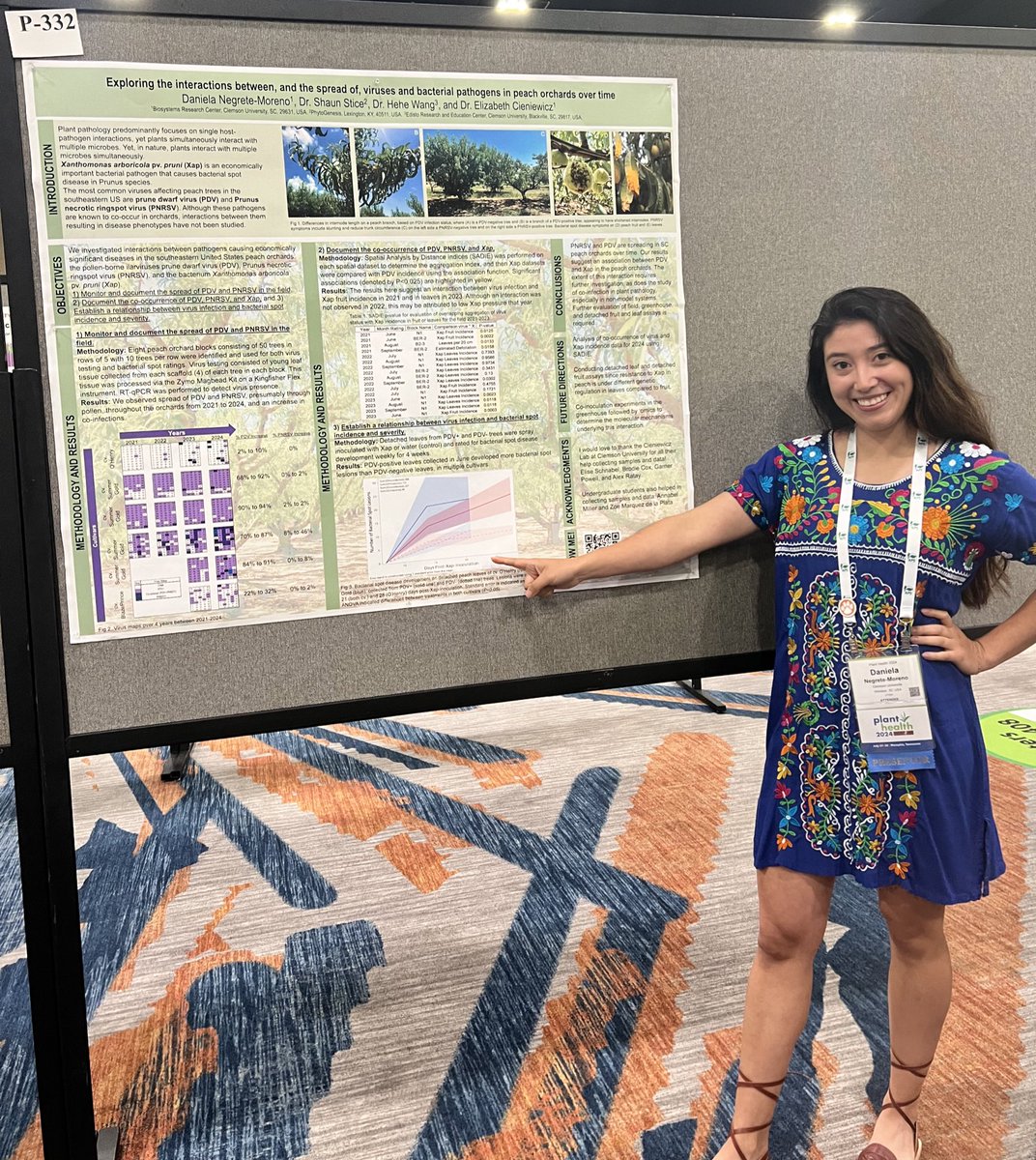 Let’s talk cross-kingdom virus-bacterium mixed infection in SC peach orchards. It’ll be a peachy time! 🍑

P-332 
Tuesday July 30th from 4:45-5:30pm
#PlantHealth2024 <a href="/plantdisease/">The American Phytopathological Society</a> 
#bacteriology #virology