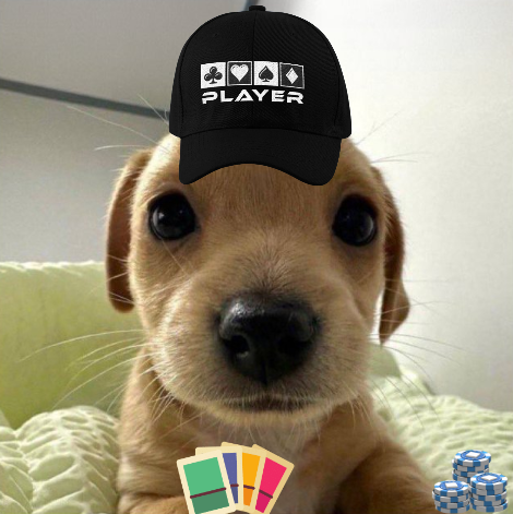 billyonether's tweet photo. play your cards right https://t.co/7Ltg5AZtKc