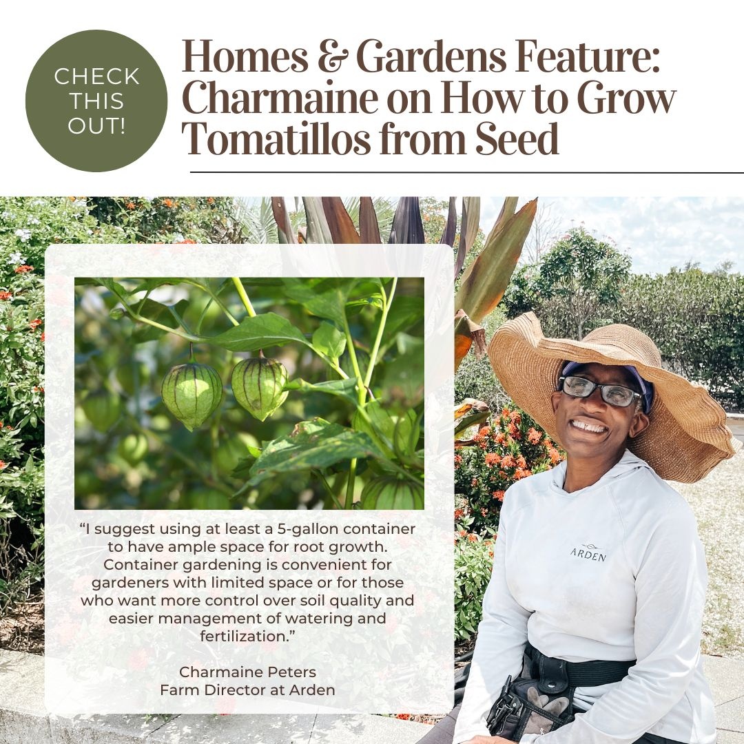 Check out this article in <a href="/homesandgardens/">Homes & Gardens</a> featuring Arden's Farm Director Charmaine Peters! 🌱

Charmaine shares some pro tips to consider when growing tomatillos. Read more here: homesandgardens.com/gardens/how-to…