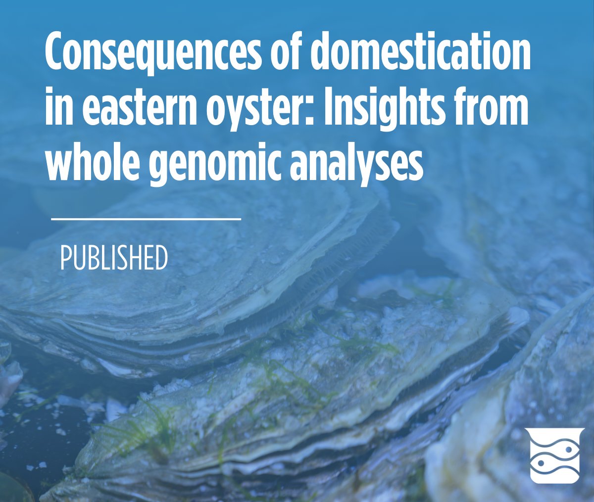 Check out Honggang Zhao's latest research paper on the genetic changes associated with domestication in eastern oysters. 🦪🧬 Dive into the findings and learn more about sustainable aquaculture. #Research #Aquaculture #Genomics #Oysters 📚🔬 Check it out: hubs.ly/Q02J2XTK0