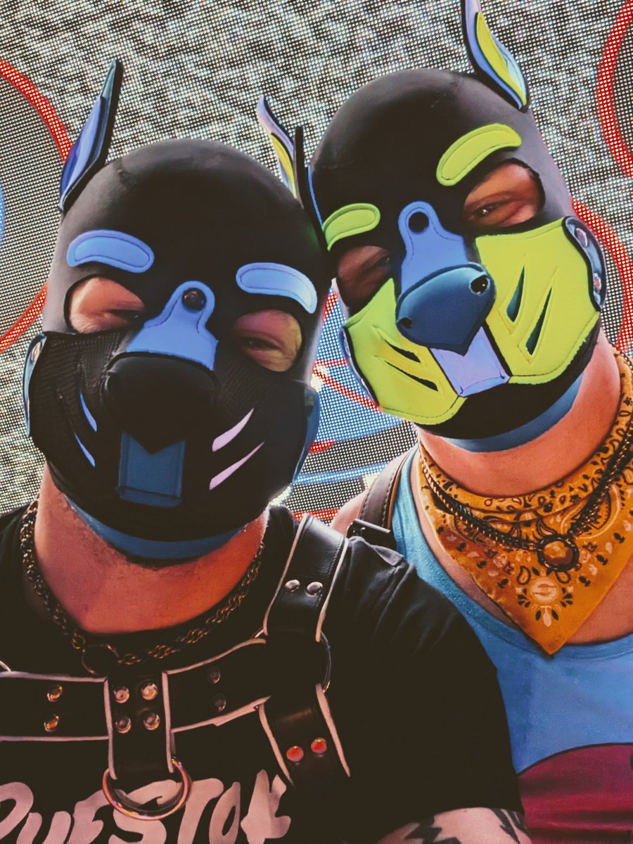 The weekend is done and it's back to normal! 

Congratulations to all of the Show Me Leather Contestants on the performance you gave! 

A special shout out to <a href="/TheCubScout/">Cub Scout</a> on your win! I'm excited to see your work in the community. 

💛 <a href="/Lykos_pup/">Lykos</a>