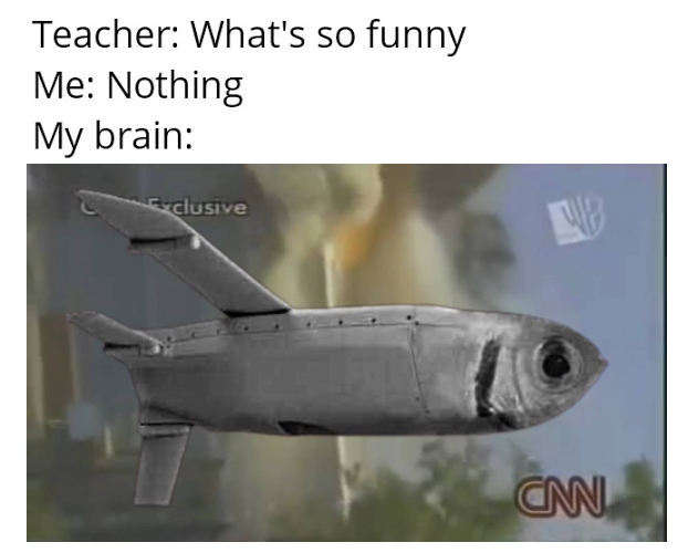 SOME WILL GET IT

SOME WON'T.

FOR THOSE THAT DON'T

YOU CAN GET FISH MISSILED.