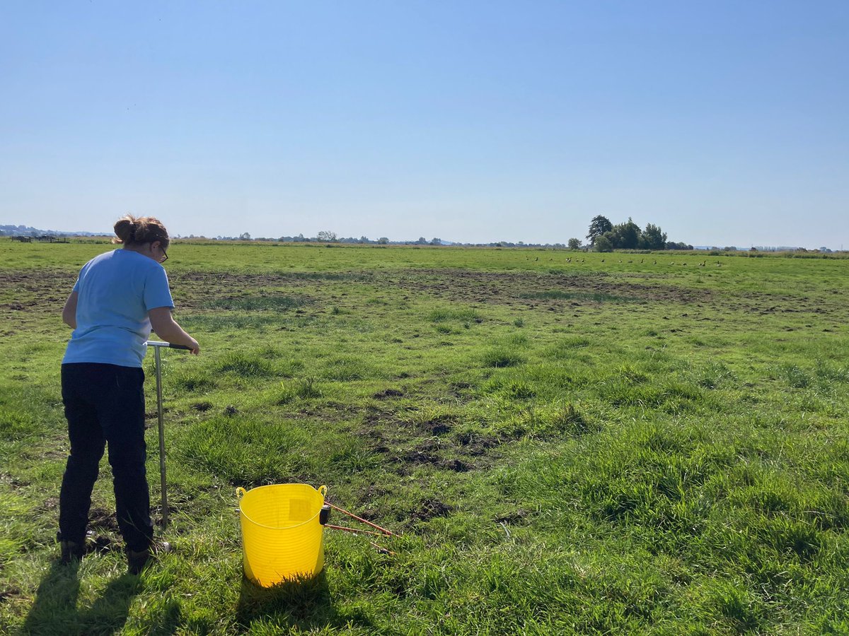 SWTConsultancy's tweet image. Safe to say it’s been a hot day out on #TheSomersetLevels for Jenny and Alexia today, they have been hard at work collecting soil samples and looking at peat presence ☀️