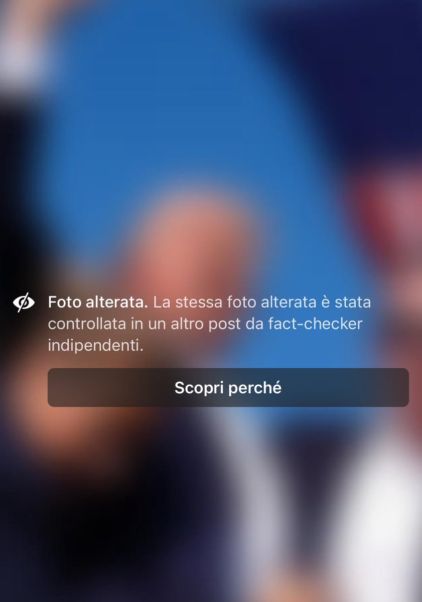 Francesca Totolo tweet media