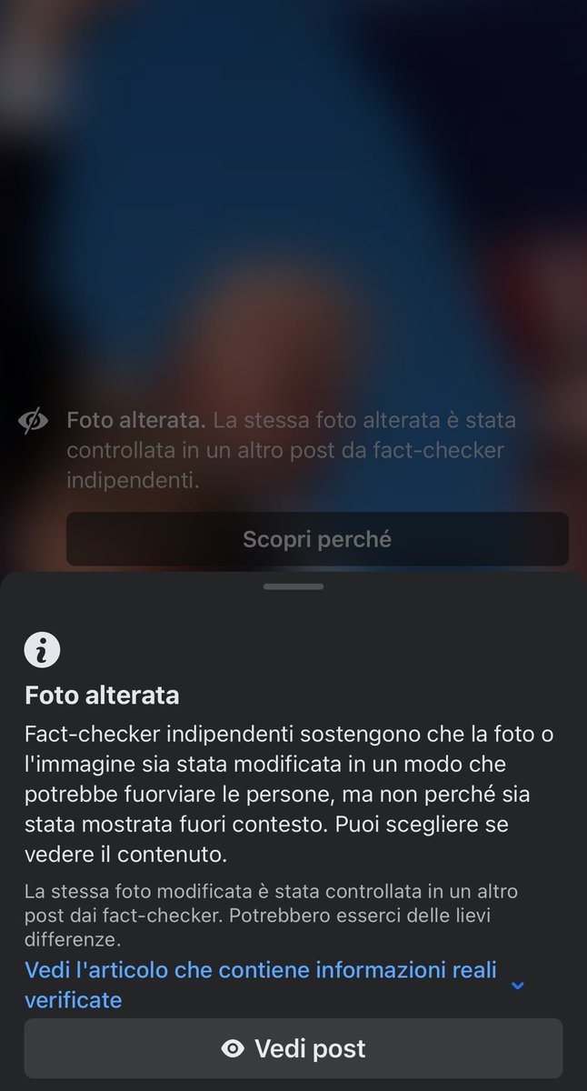 Francesca Totolo tweet media