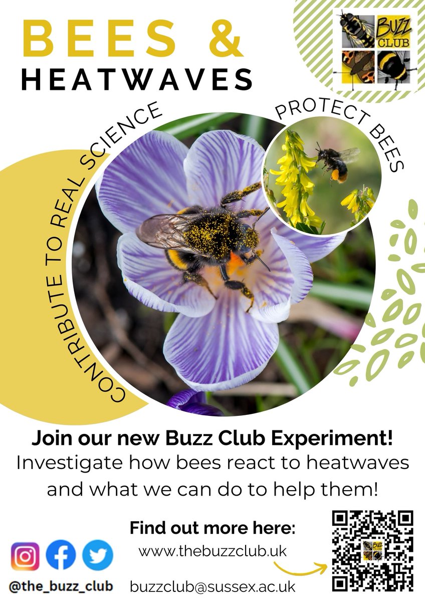 Yanet Sepúlveda (@yanetsepulveda) on Twitter photo 📢Do you love bees? Help us understand how they respond to heatwaves and what we can do to support them!
It's not too late to join <a href="/The_Buzz_Club/">The Buzz Club</a> Bees & Heatwaves project! With hot temperatures on the way, now is the perfect time to get involved.
Register: thebuzzclub.uk/bees-heatwaves 📢Do you love bees? Help us understand how they respond to heatwaves and what we can do to support them!
It's not too late to join <a href="/The_Buzz_Club/">The Buzz Club</a> Bees & Heatwaves project! With hot temperatures on the way, now is the perfect time to get involved.
Register: thebuzzclub.uk/bees-heatwaves