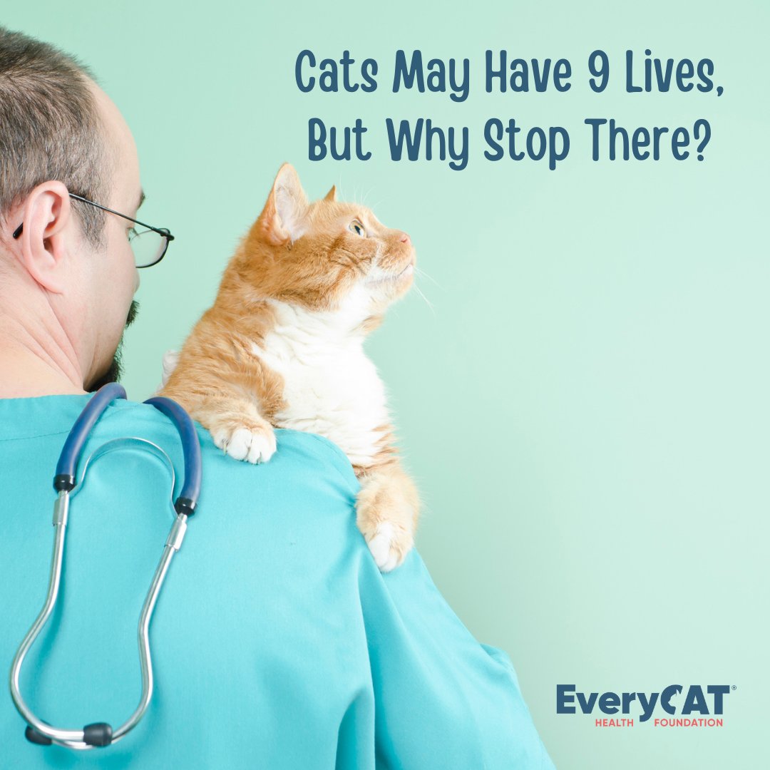 CatConWorldwide (@catconworldwide) on Twitter photo Visit <a href="/everycathealth/">EveryCat Health Foundation</a> at CatCon Booth #729!
Spin the wheel, win CATastic prizes!
Check out our new T-shirts!
Plus “Ask the Vet!”
And don’t miss our panel on the CatCon Workshop stage Saturday Aug. 3 AND Sunday Aug. 4- “Cats May Have 9 Lives, But Why Stop There?” Visit <a href="/everycathealth/">EveryCat Health Foundation</a> at CatCon Booth #729!
Spin the wheel, win CATastic prizes!
Check out our new T-shirts!
Plus “Ask the Vet!”
And don’t miss our panel on the CatCon Workshop stage Saturday Aug. 3 AND Sunday Aug. 4- “Cats May Have 9 Lives, But Why Stop There?”