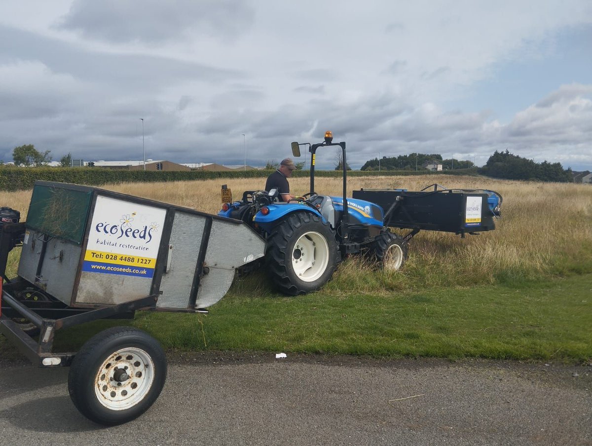 SDCC has begun collecting wildflower seeds from various meadows throughout the county before the meadows are cut. The intention is to use these seeds in upcoming landscaping projects throughout the county to create further meadows.