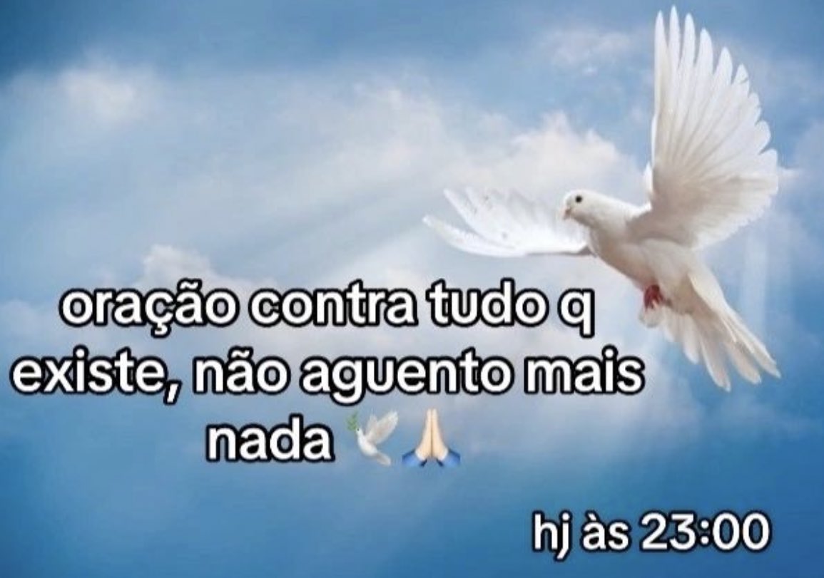 shitpostverdade's tweet photo. https://t.co/oEQ783VZJa