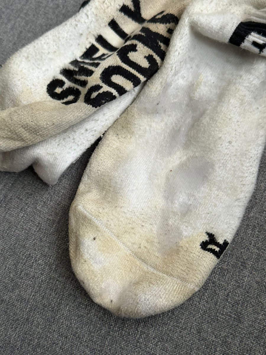 Enjoy them, pigs 🐽