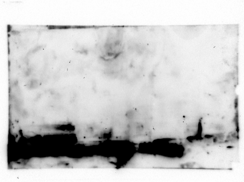 Jason Shepherd tweet media