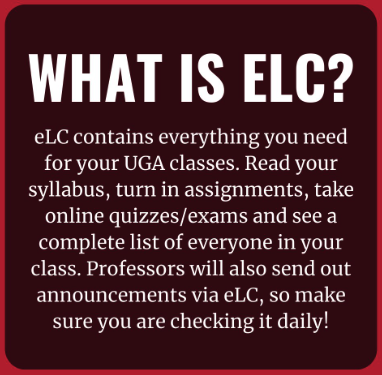 Workshop: "Adding and Organizing Content for Successful Learning in eLC". Another eLC Fundamentals workshop offered twice virtually and open to faculty, staff, postdocs, and grad students. Register here: tinyurl.com/d3n9tnfn #ugateach