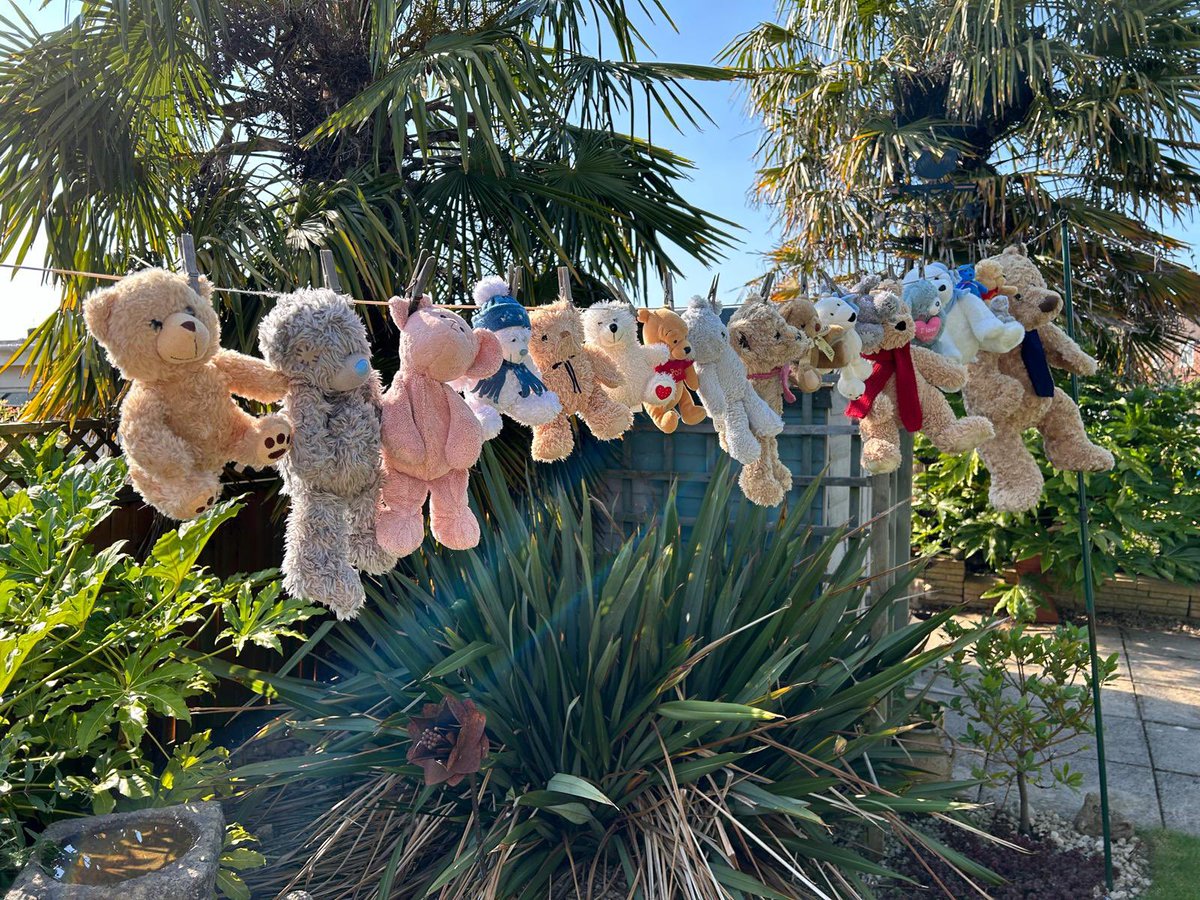 In preparation for our 3 night summer residential for children with a parent in prison, a wonderful volunteer has been washing the teddies, ready for the teddy bears picnic for one of the younger many groups activities. Please do consider donating a teddy or  giving to our