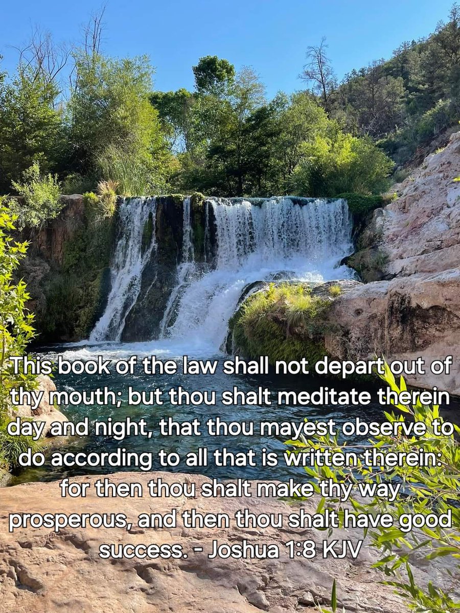 FlgMissionTab's tweet image. This book of the law shall not depart out of thy mouth; but thou shalt meditate therein day and night, that thou mayest observe to do according to all that is written therein: for then thou shalt make thy way prosperous, and then thou shalt have good success. - Joshua 1:8 KJV