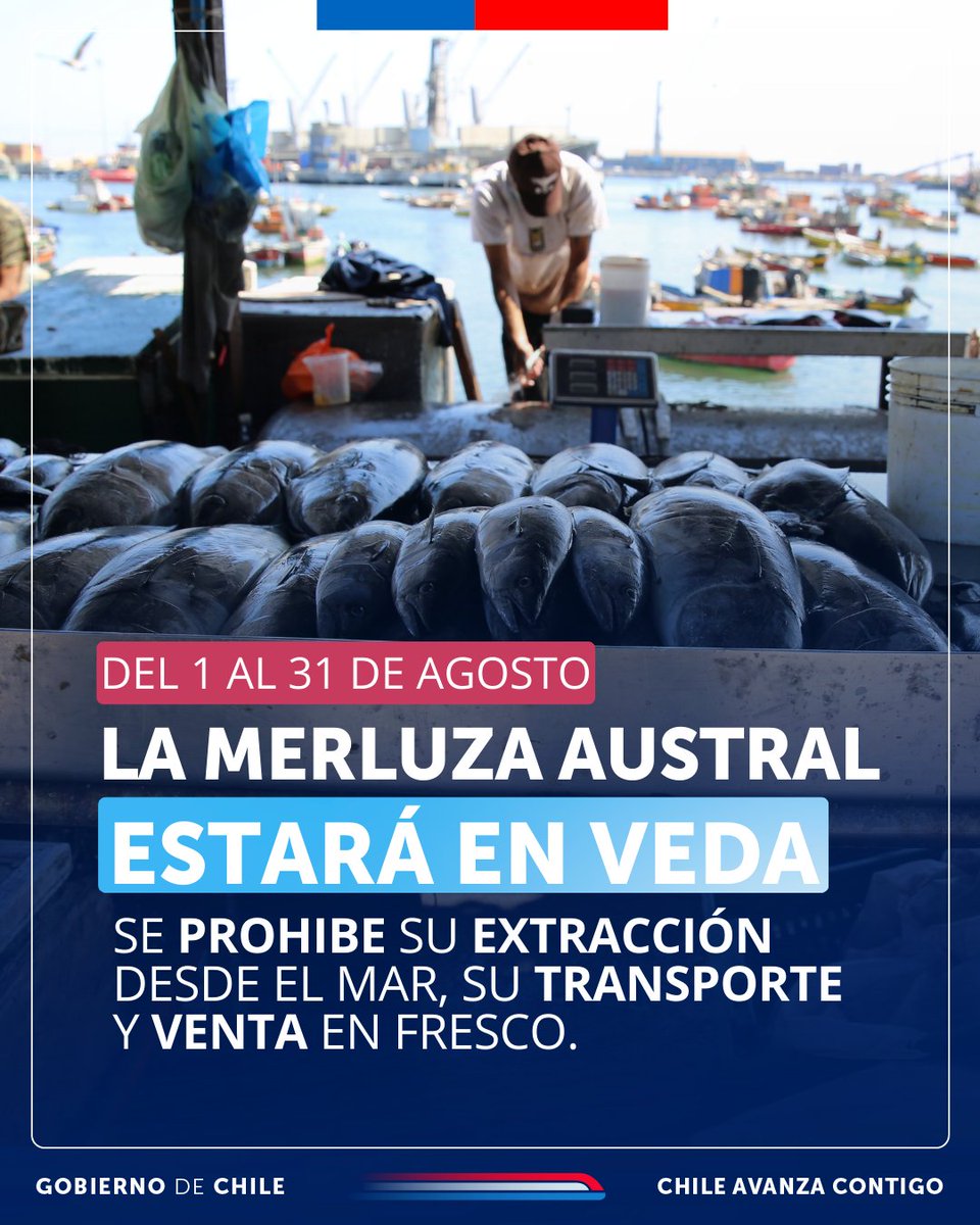 SubpescaCL's tweet photo. ☝️¿Sabías que en #agosto es cuando más huevos pone la #MerluzaAustral? Por eso es que durante todo el mes estará en #veda y protegerla en esta importante etapa.
🌊 Prepárate congelando este delicioso pescado o disfruta de otras opciones de nuestro extenso mar. https://t.co/bCVdCYnVv0