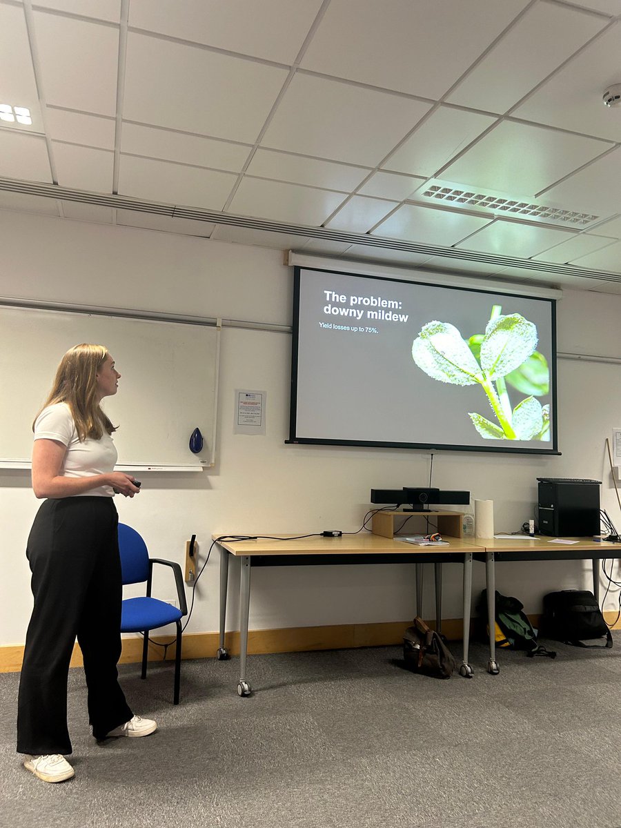 Kara Boyd from the Arora group presents her research on downy mildew resistance in peas! #jictslstudentasm2024