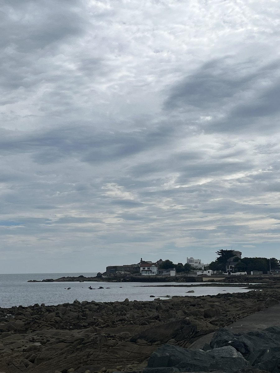 doubleosullivan's tweet image. Saturday wine tasting on the slopes of Mount Etna in #Sicily
Monday back in #Glasthule
They do usually stock a few good Sicilian (Etna Bianco) wines in @64_Wine so that’ll keep me going!