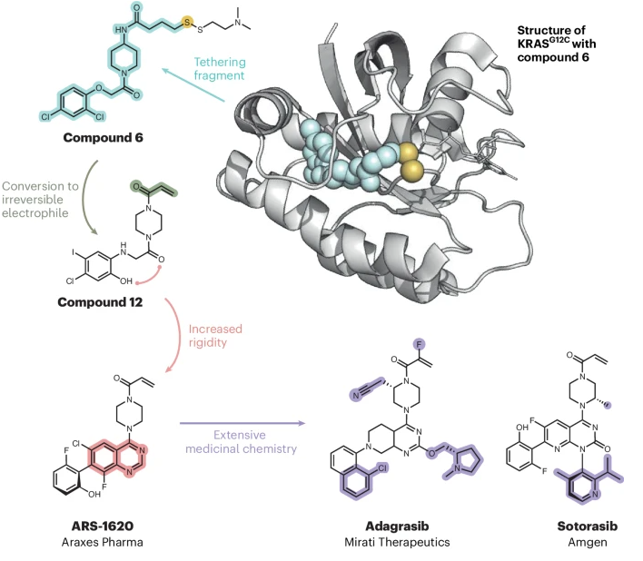 Direct RAS inhibitors turn 10 -- In a Comment, Jonathan Ostrem, Ulf Peters, and Kevan Shokat provide a personal perspective on their initial report of KRAS inhibitors and the decade of discoveries that followed. Read it here rdcu.be/dPl36